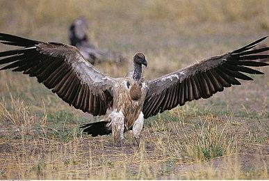 《仙剑奇侠传7》正式登陆蒸汽平台 相守之约如七而至